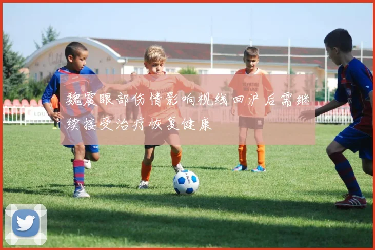 魏震眼部伤情影响视线回沪后需继续接受治疗恢复健康